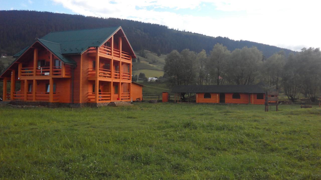 Плай Villa Verkhovyna Bagian luar foto